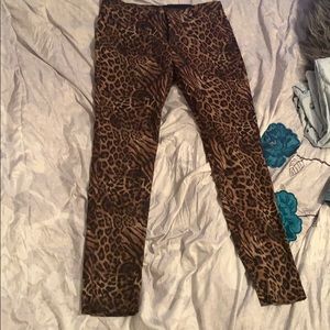 fashion nova men pants